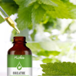 Eucalyptus Therapeutic Grade Essential Oil