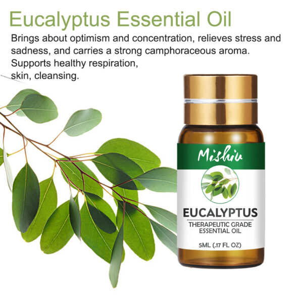 Eucalyptus Therapeutic Grade Essential Oil