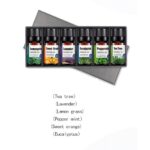 Tranquil Essence: 4-Stick Massage Essential Oil Set with Soothing Lavender, Peppermint, Tea Tree and Sweet Orange